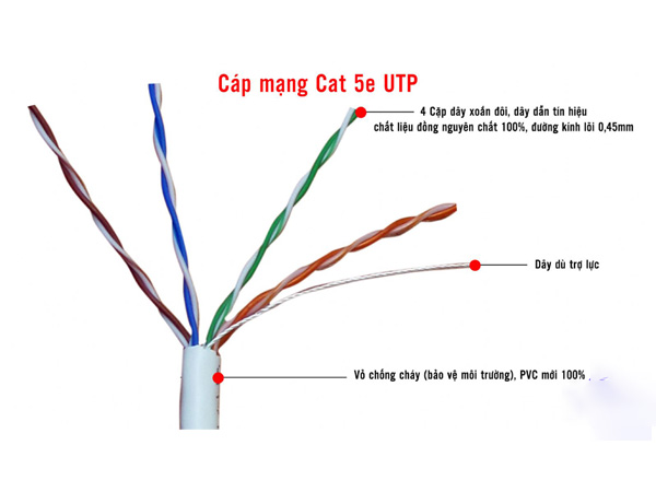 Tại sao dây cáp mạng commscope cat5e được ưa chuộng?